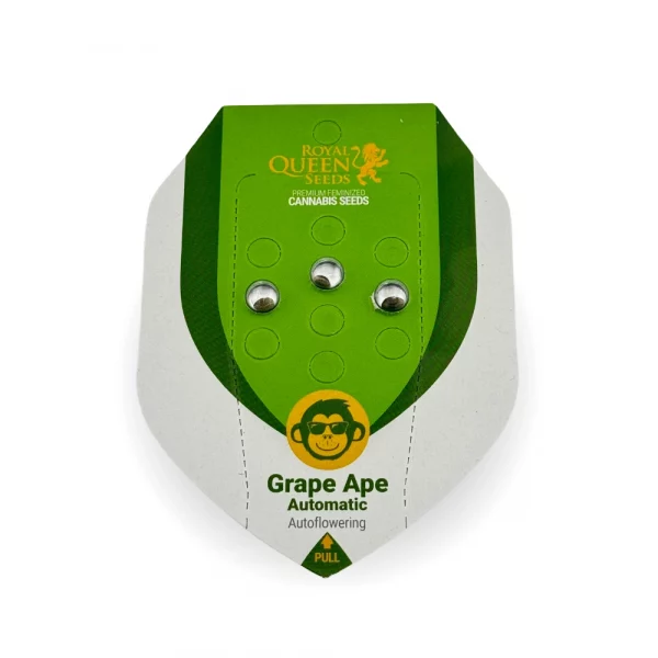 Grape Ape Automatic 3x Cannabissamen