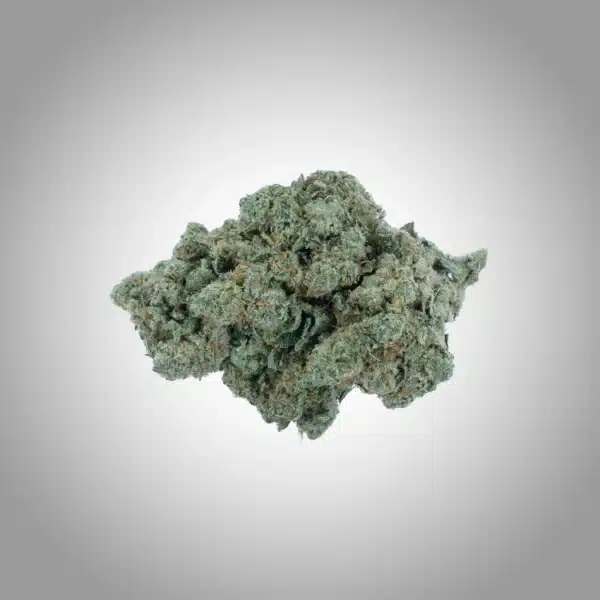 Green | Amnesia Haze | Premium CBD Blüten